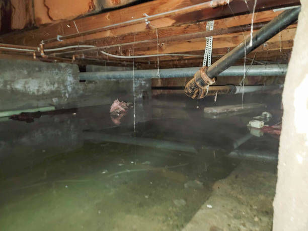Best Residential water damage restoration  in Mount Pocono, PA