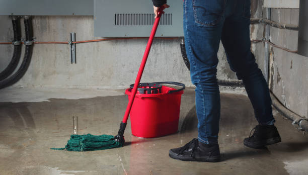 Best Emergency water extraction  in Mount Pocono, PA