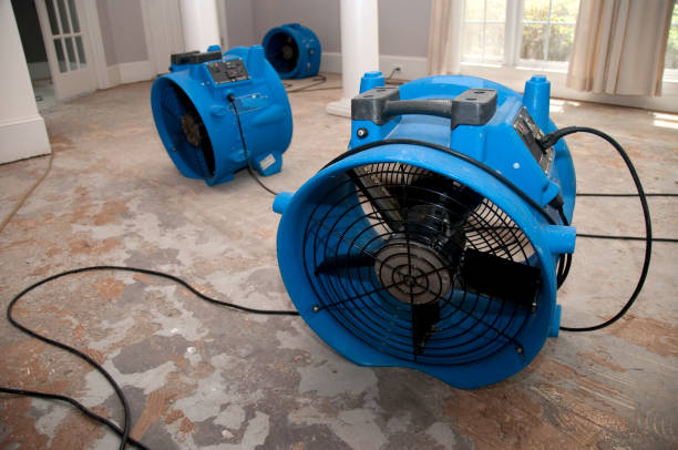Best Carpet water damage restoration  in Mount Pocono, PA