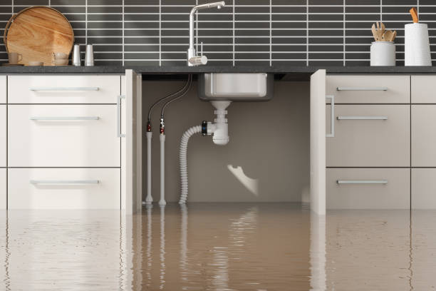 Best Water damage contractors near me  in Mount Pocono, PA