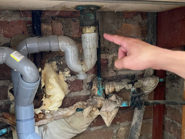 Best Sewage cleanup and water damage restoration  in Mount Pocono, PA