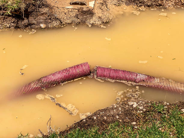Best Professional water damage repair  in Mount Pocono, PA